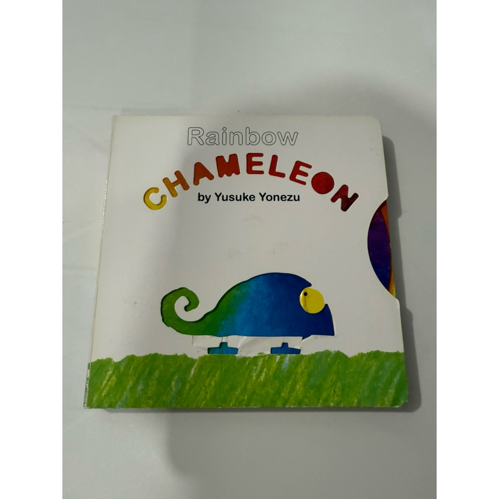 PRELOVED children board book rainbow chameleon | buku anak