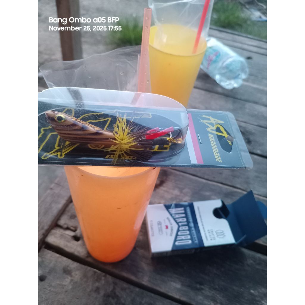 umpan casting gabus/Toman Geol