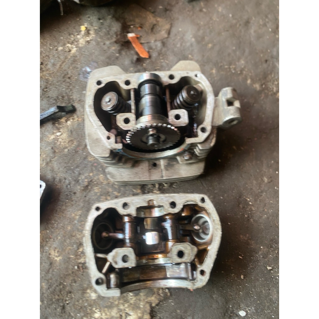 head tiger lama megapro twin port