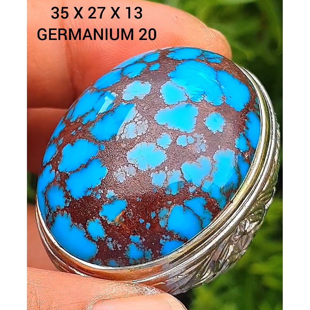 pirus mesir  royal blue031