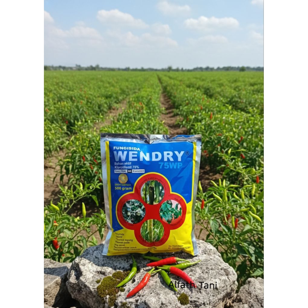 Wendry 75WP 500gr | Fungisida Protektif