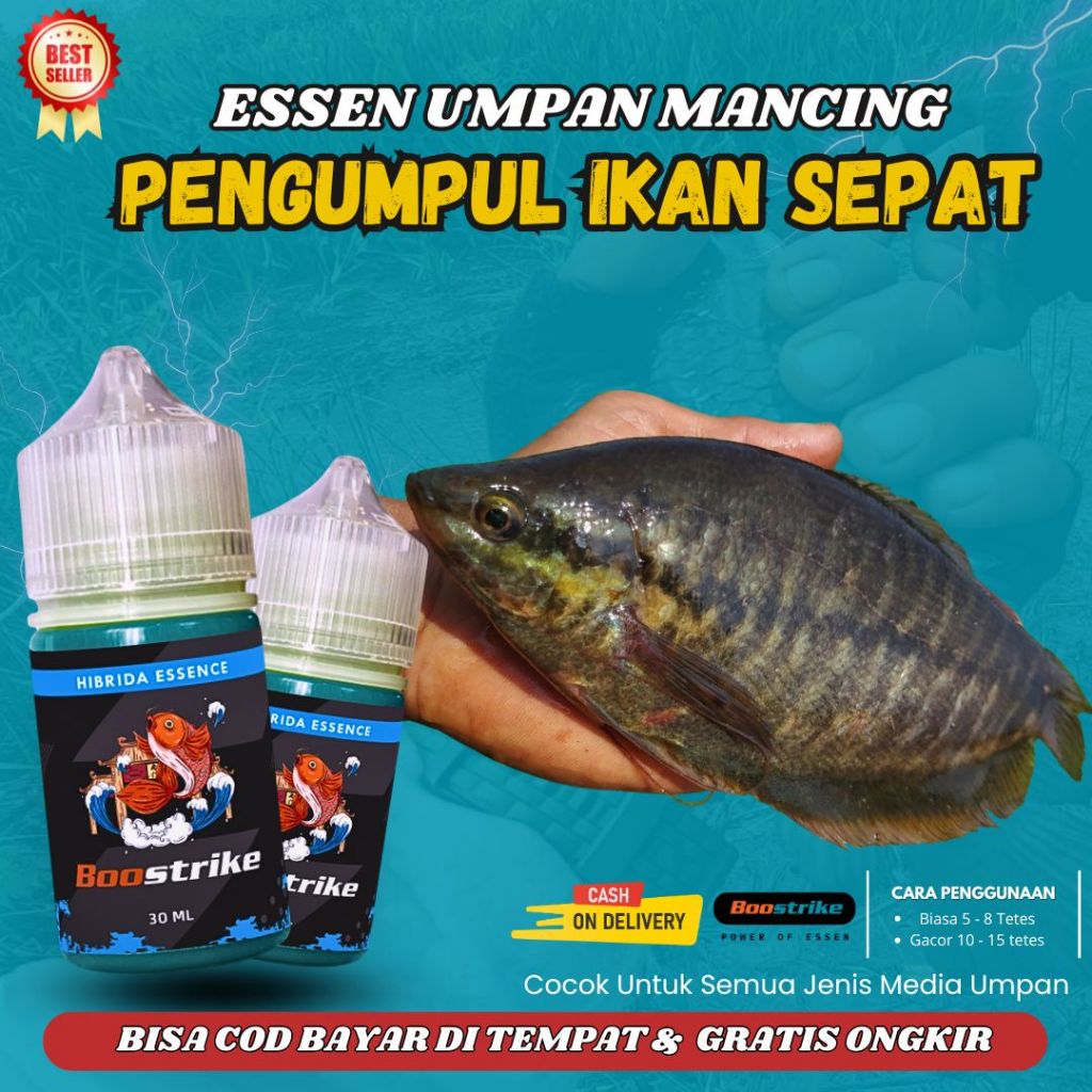 Boom/ Pewangi Umpan Mancing Pancingan Minyak pengumpul Ikan Sepat Siam Cap Boostrike Amuntai Isi 30m