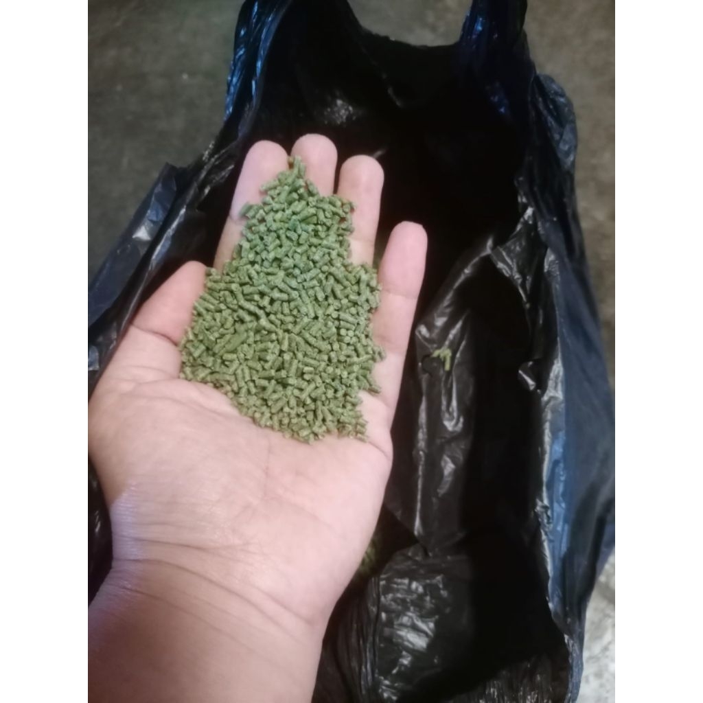 PUR IJO / POR IJO / PUR PAKAN BURUNG KILOAN / PUR IJO PAKAN BURUNG BERKICAU / PAKAN BURUNG / MAKANAN