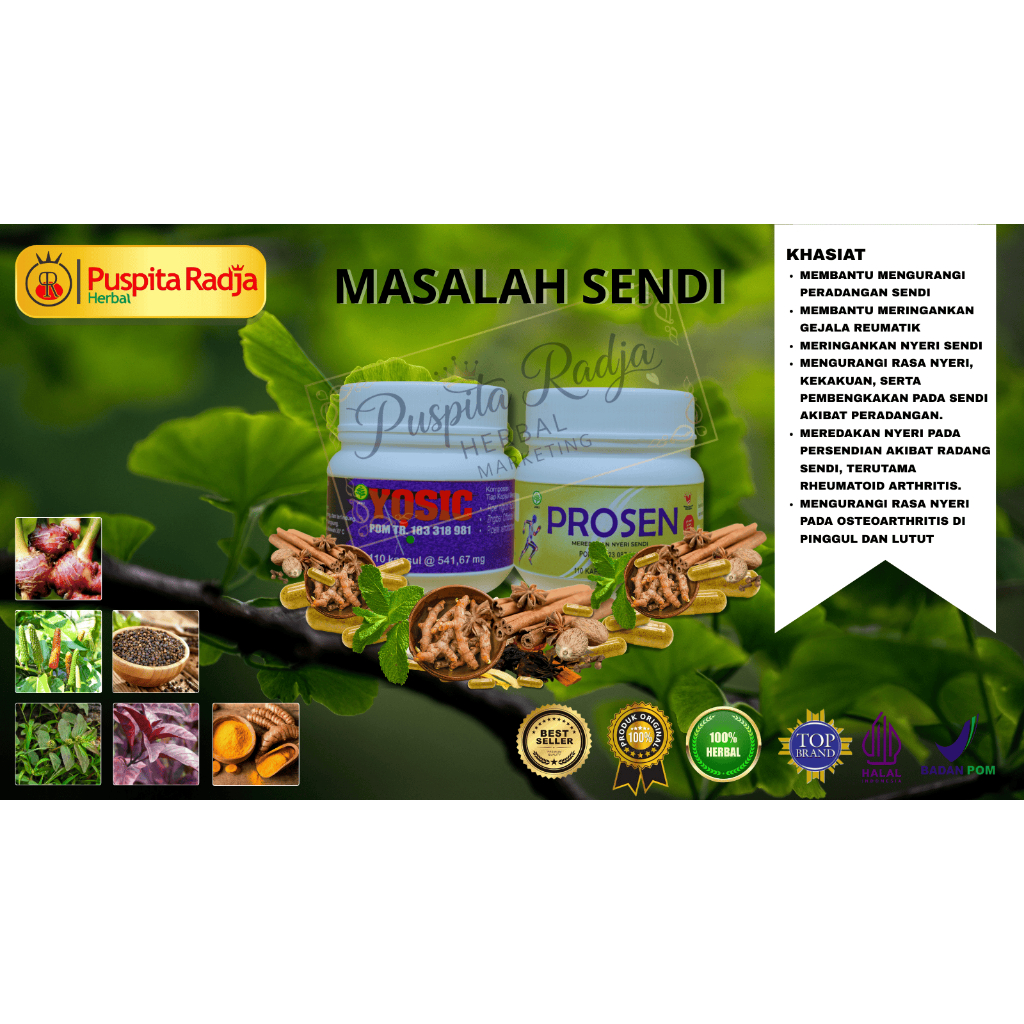 Paket Spesial Sendi Puspita Radja Herbal