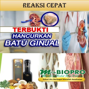 OBAT ISK DAN BATU GINJAL II OBAT BATU GINJAL DAN EMPEDU II OBAT INFEKSI SALURAN KEMIH DAN BATU GINJA