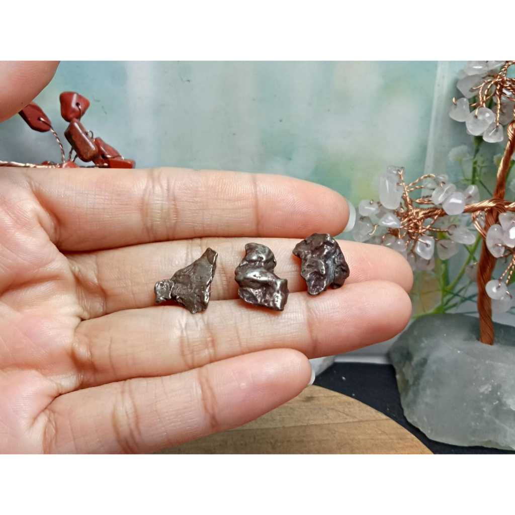 Batu meteorite crystal campo del cielo (10)