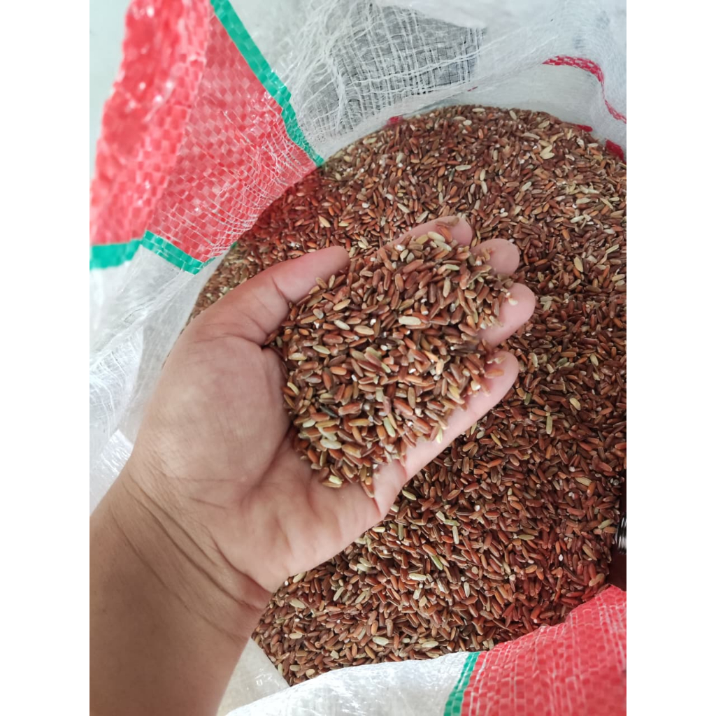 BERAS MERAH PAKAN AYAM/PAKAN BURUNG/ 1 KILO