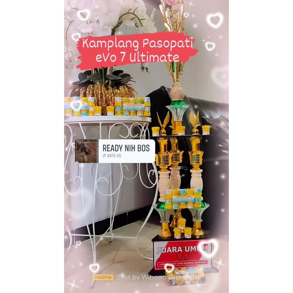 KAMPLANG PERKUTUT PASOPATI EVOLUTION 7 ULTIMATE (EVO 7 ULTIMATE)
