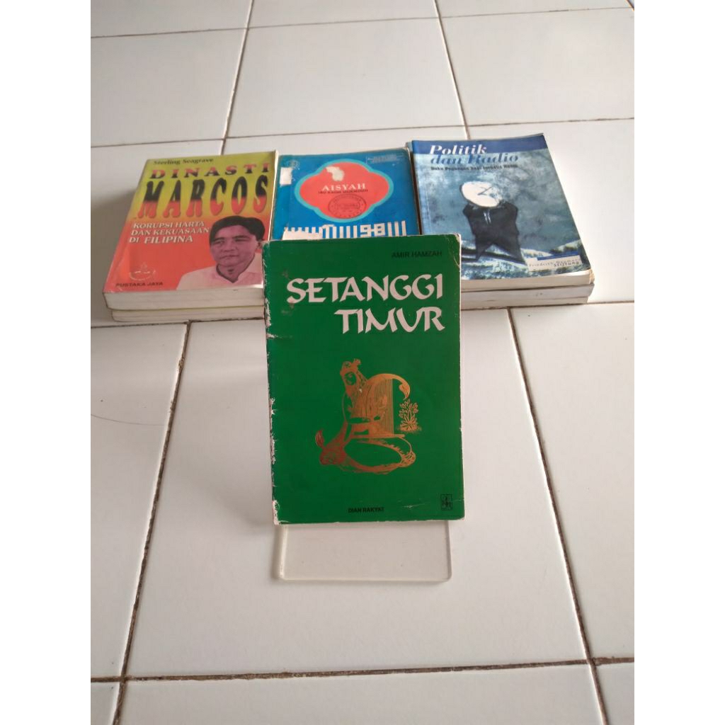 amir hamzah setanggi timur