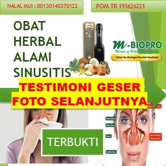 M BIOPRO OBAT SINUSITIS BUAT IBU HAMIL II OBAT SINUSITIS BAU II OBAT SINUSITIS BAYI II OBAT SINUSITI