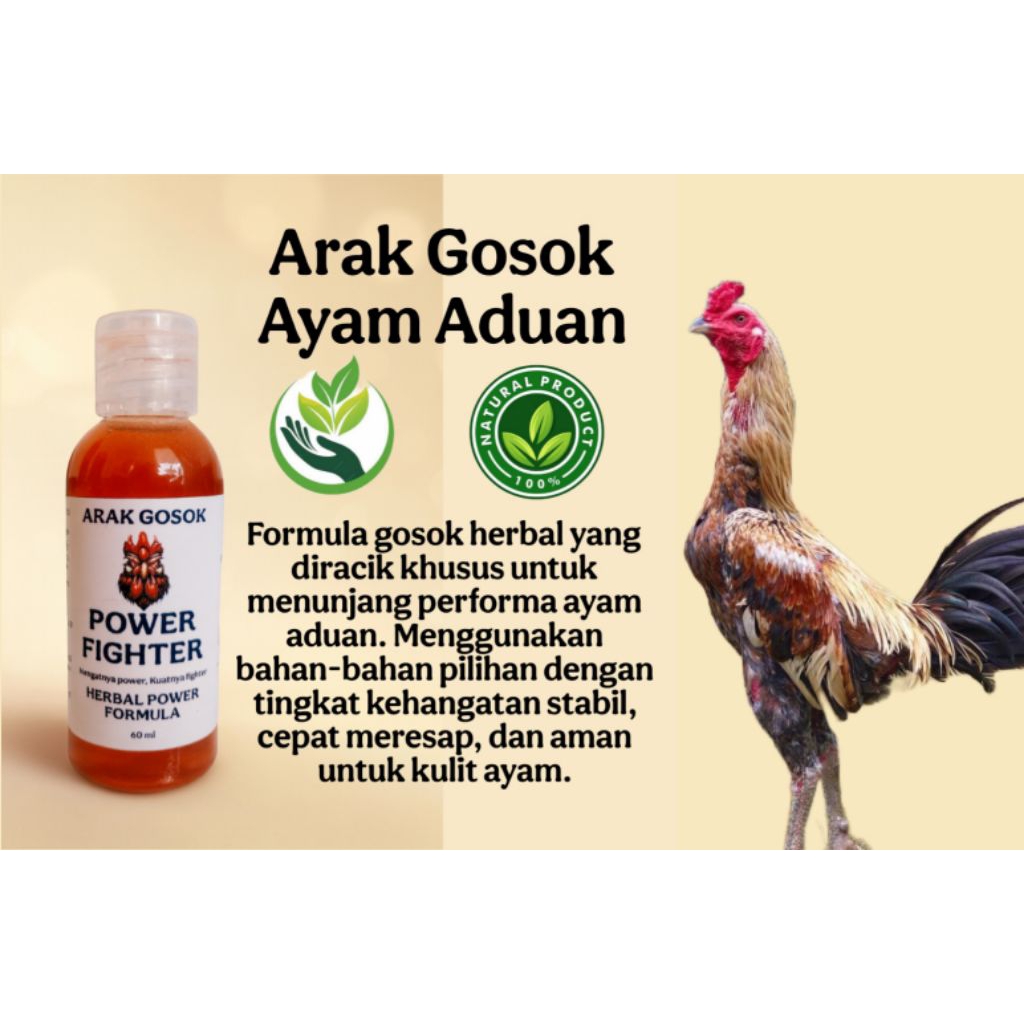 Arak gosok untuk perawatan kulit ayam aduan
