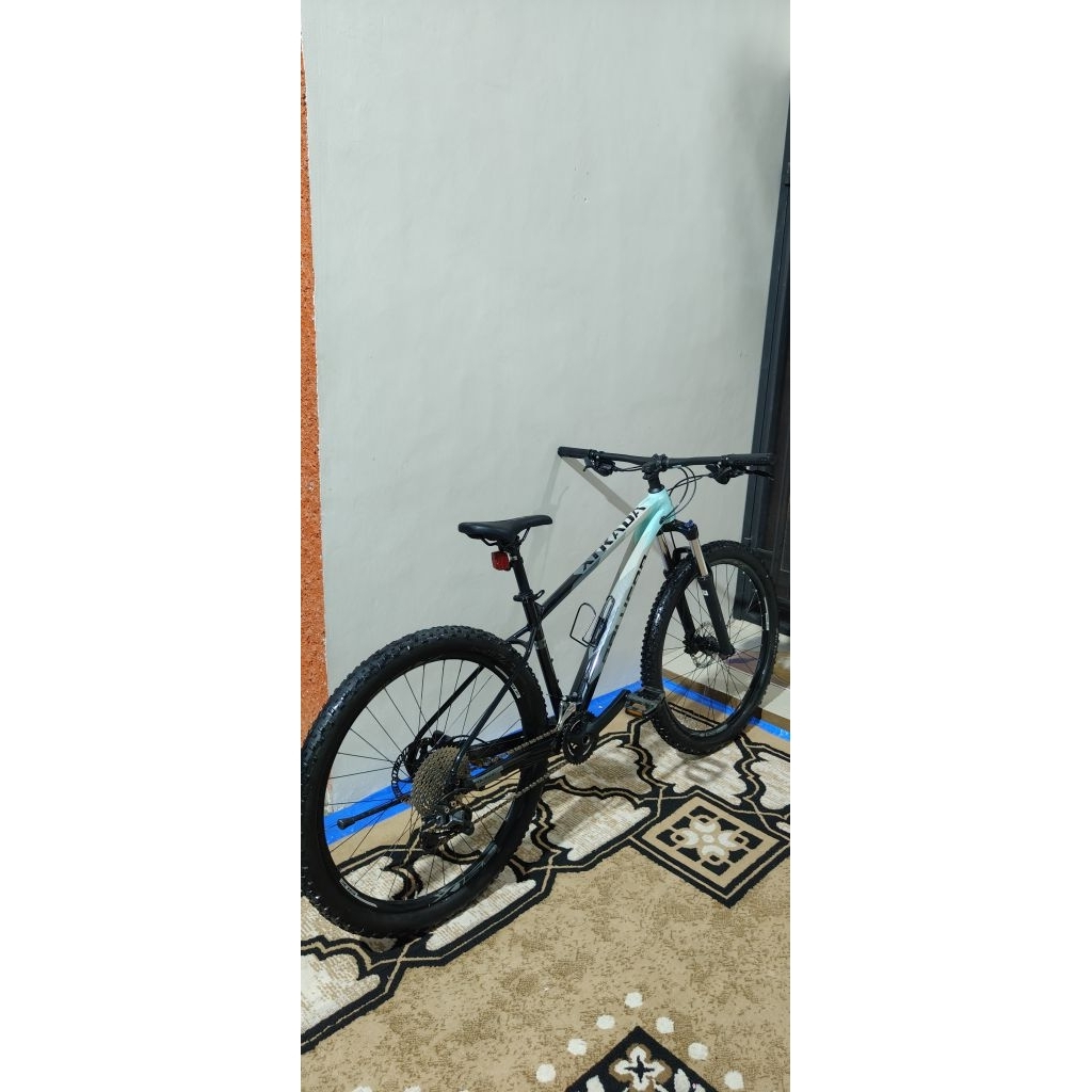 polygon xtrada 5 2021