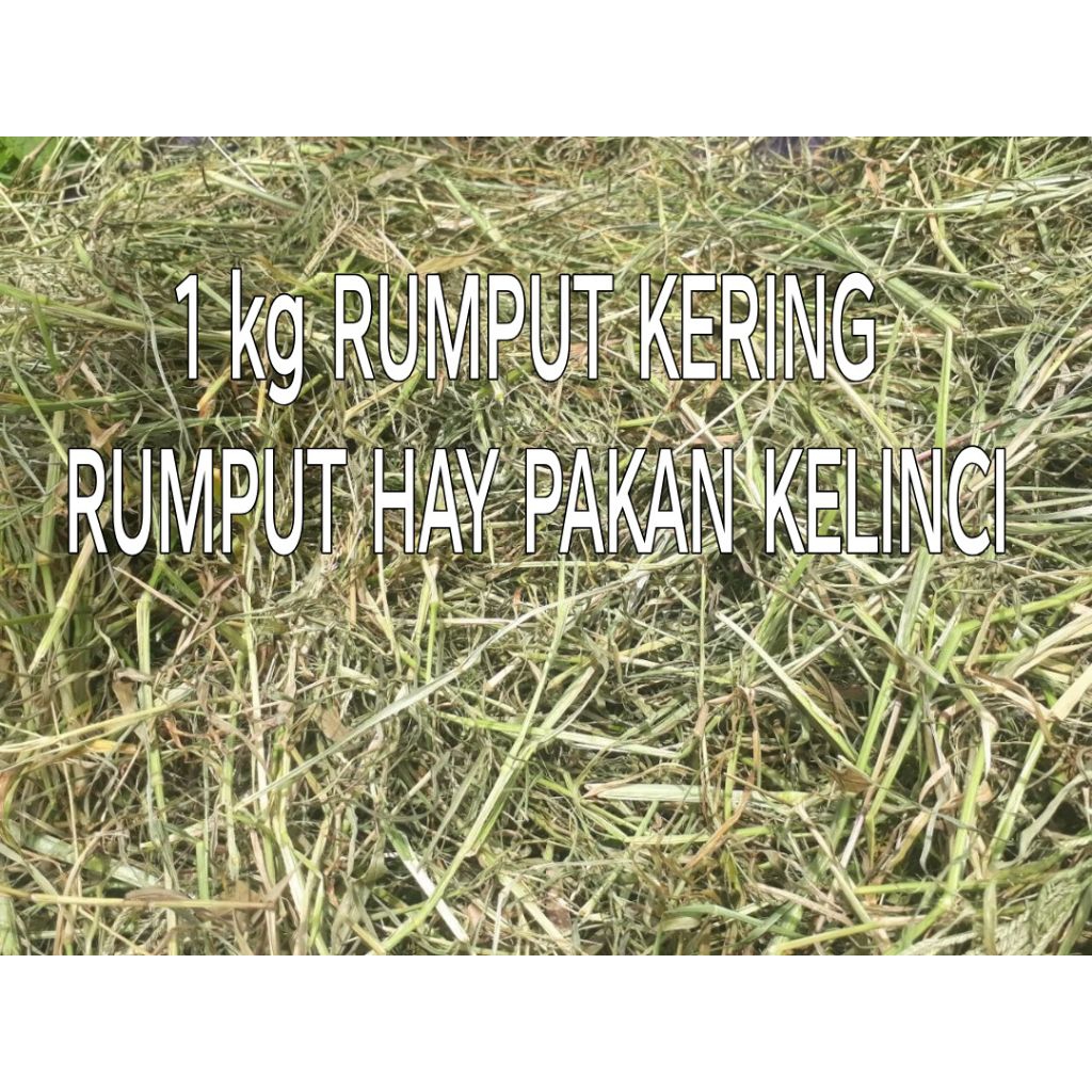 1 kg rumput kering pakan kelinci rumput hay pakan marmut domba kambing sampi dll