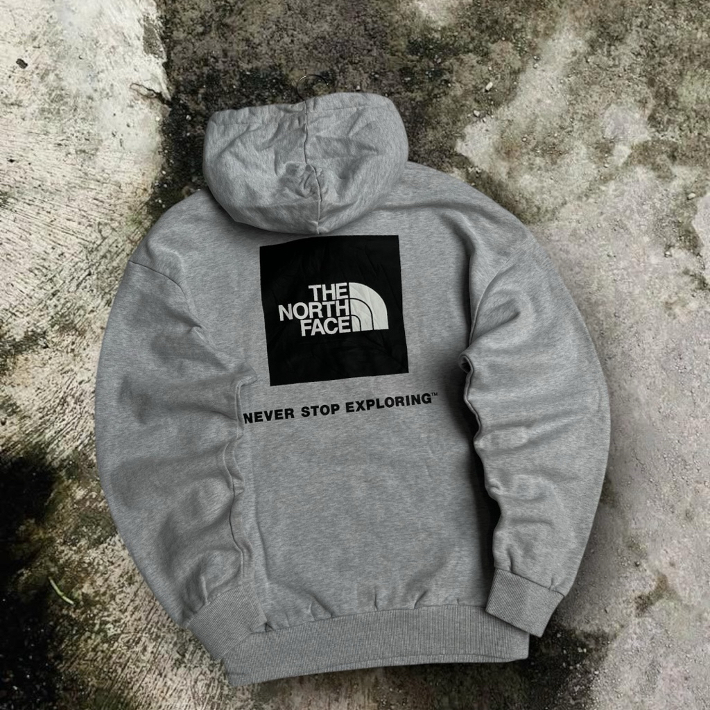 hoodie tnf the north face second