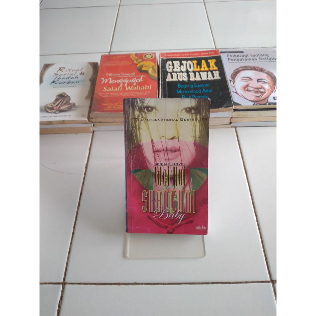 wei hui shanghai baby