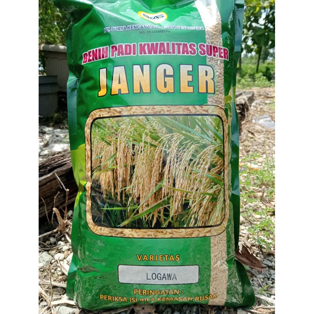 Benih Padi Logawa Janger 5kg Logawa Premium minim sungut