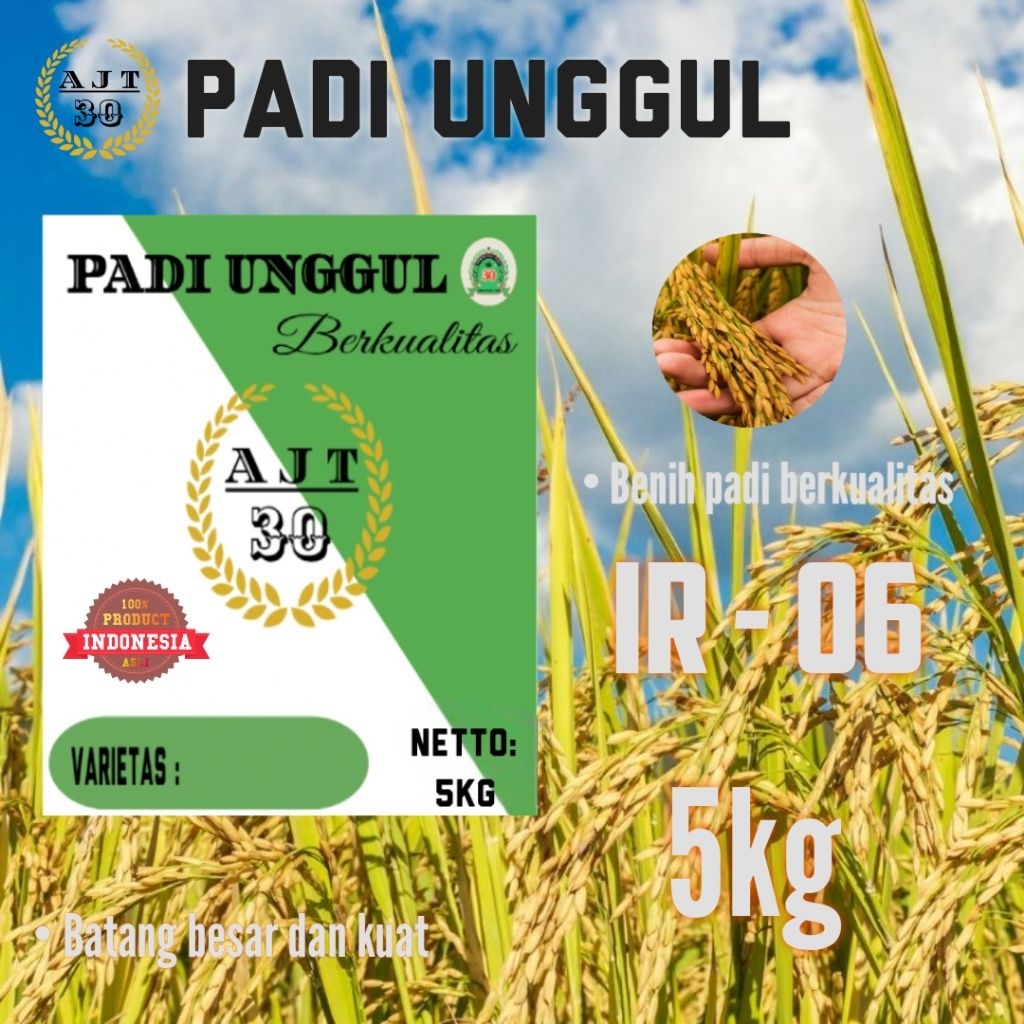 Benih padi unggul hibrida Varietas INPARI 32 kemasan 5kg