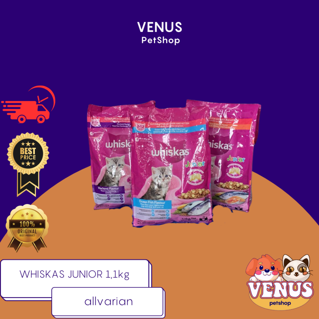 WHISKAS JUNIOR dryfood whiskas makanan kucing kering kitten