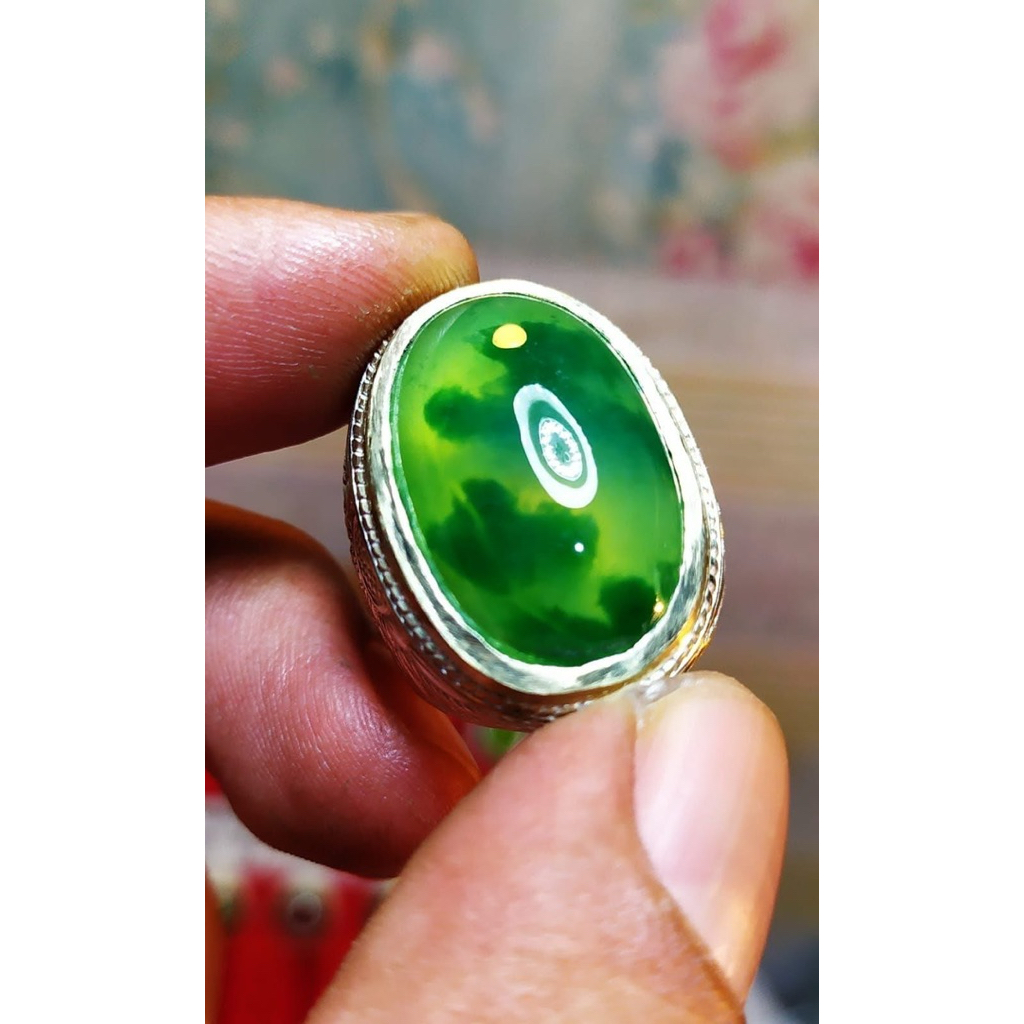 idocrase lumut kumbang jati totol sayur