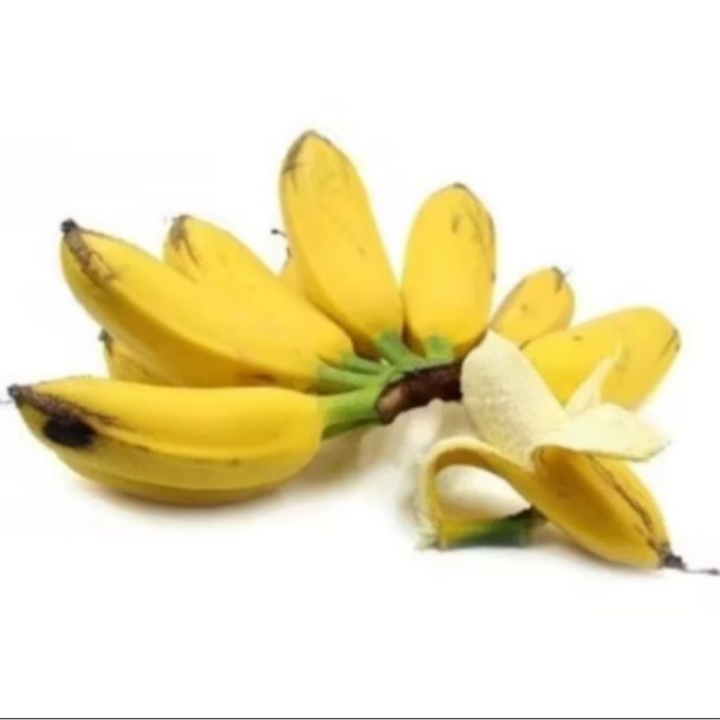 Pisang Kepok, Kepok Pisang