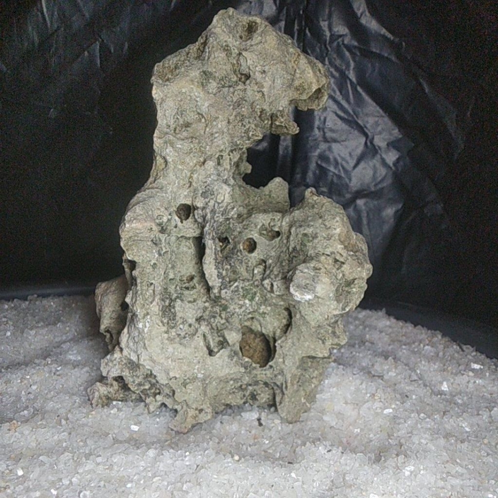 BATU KARANG GUNUNG UNTUK BONSAI DAN AQUASCAPE