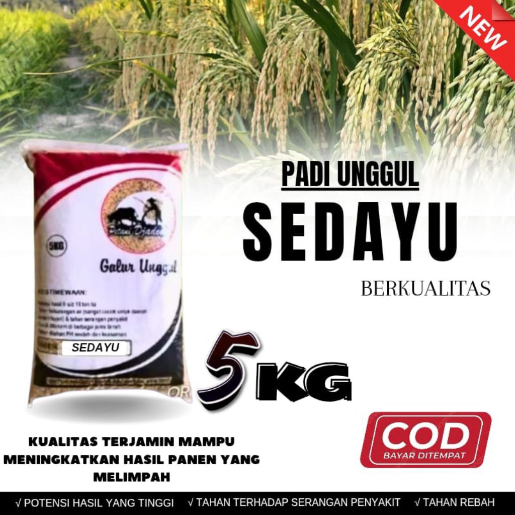 Benih padi unggul SEDAYU kemasan 5kg original