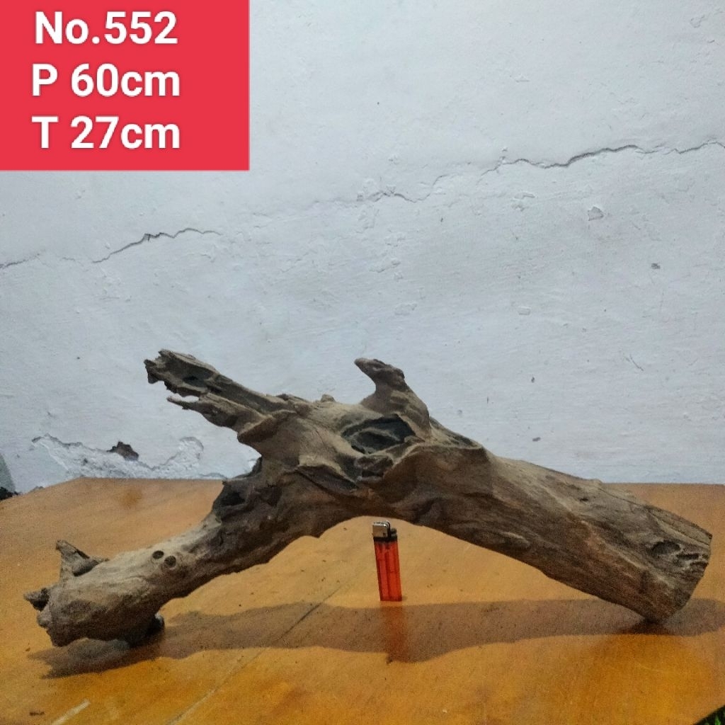 bonggol akar santigi laut kayu santigi dekorasi aquascape aquarium 552