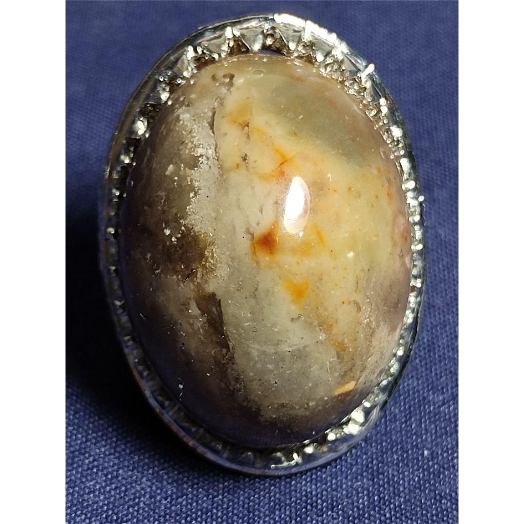 Natural Asem Petrified Wood, ELEPHANT VS LION / Batu Fosil Kayu Asem, GAJAH VS SINGA