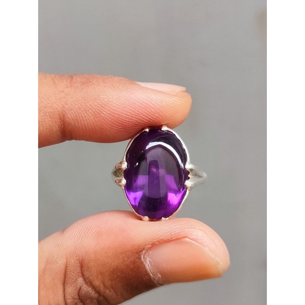 KECUBUNG WULUNG KALIMANTAN BERKUALITAS