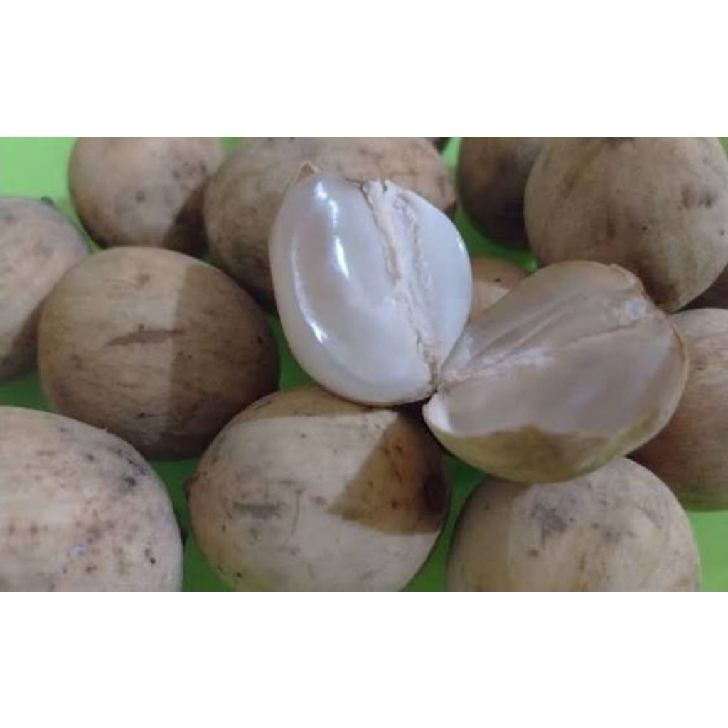 Buah Langsat Pontianak manis/ buah duku Pontianak manis/ langsat manis Pontianak 500gram