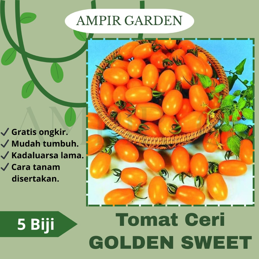 5 Biji Benih Tomat Chery GOLDEN SWEET F1 Rasa Manis / Bibit Tanaman Sayuran Tomat Ceri Cery Cherry K