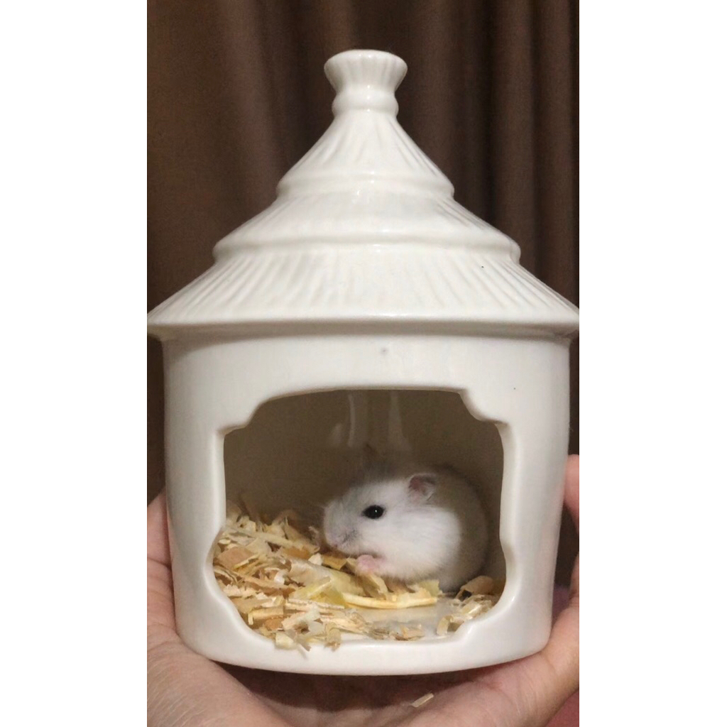Rumah Keramik Hamster