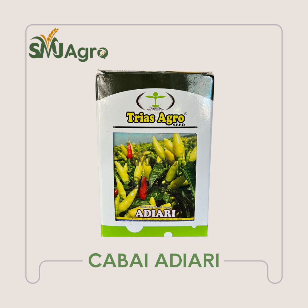 Benih Cabai Rawit Putih Tegak Adiari Trias Agro