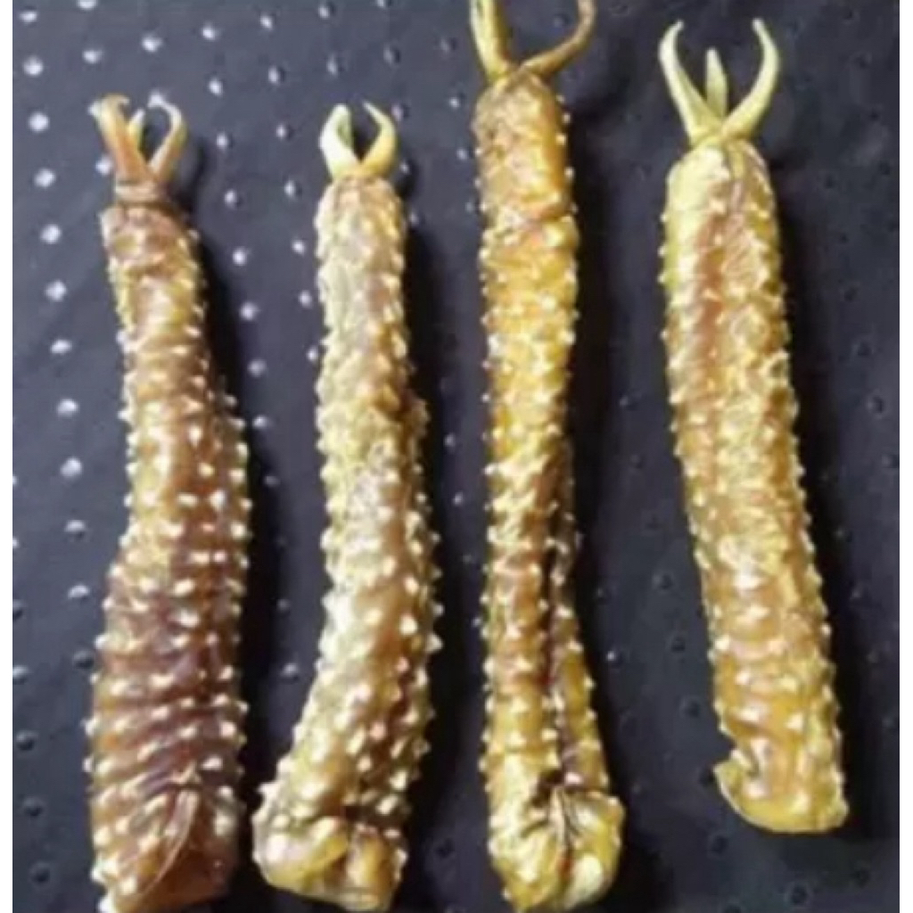 Tangkur Asli Kalimantan Herbal Kalimantan