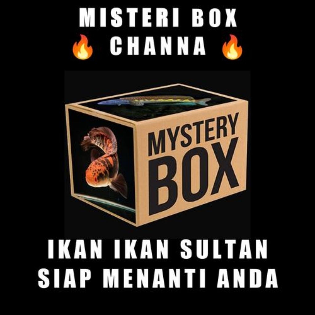 mistery box chana,jackpot sterwarti