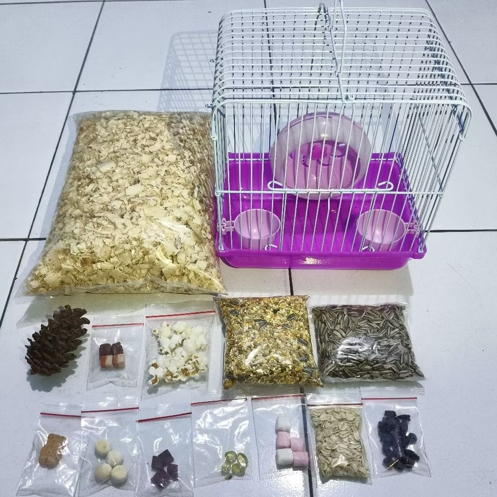 Hamster Syrian PAKET HEMAT Bonus Popcorn Hamster Jinak Sehat Gembul Dan Lincah Termurah