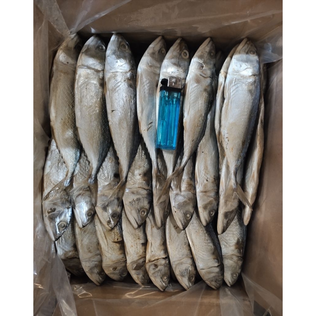 Ikan Asin Banyar/Peda 1Kg