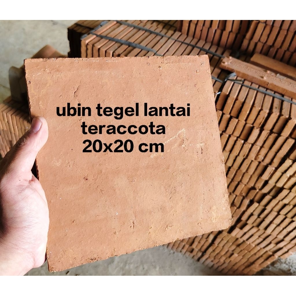 tegel teraccota 20x20 cm
