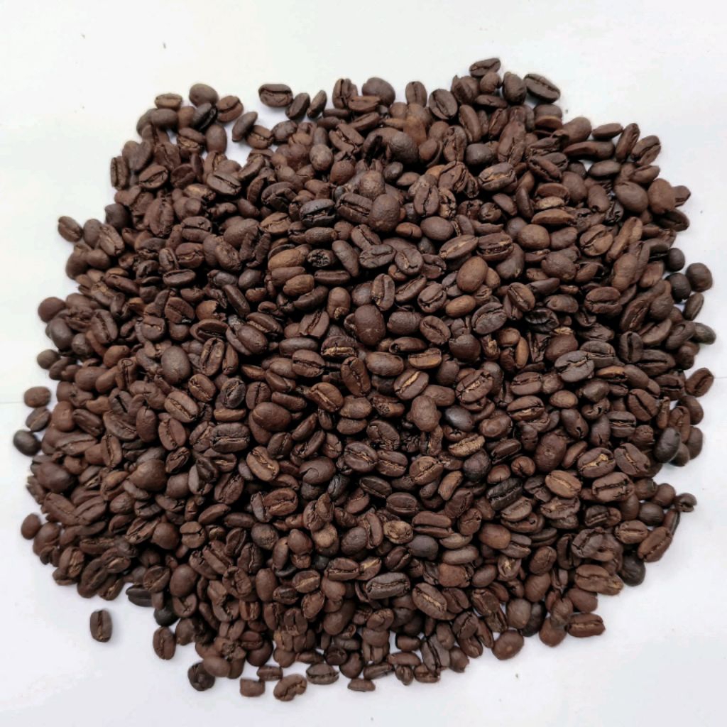 kopi sidikalang biji arabika