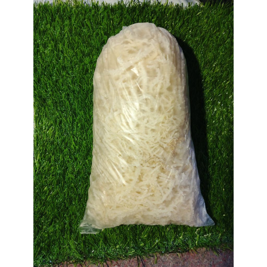 Rumput Laut Spinosum Putih | Kering Normal (1kg)