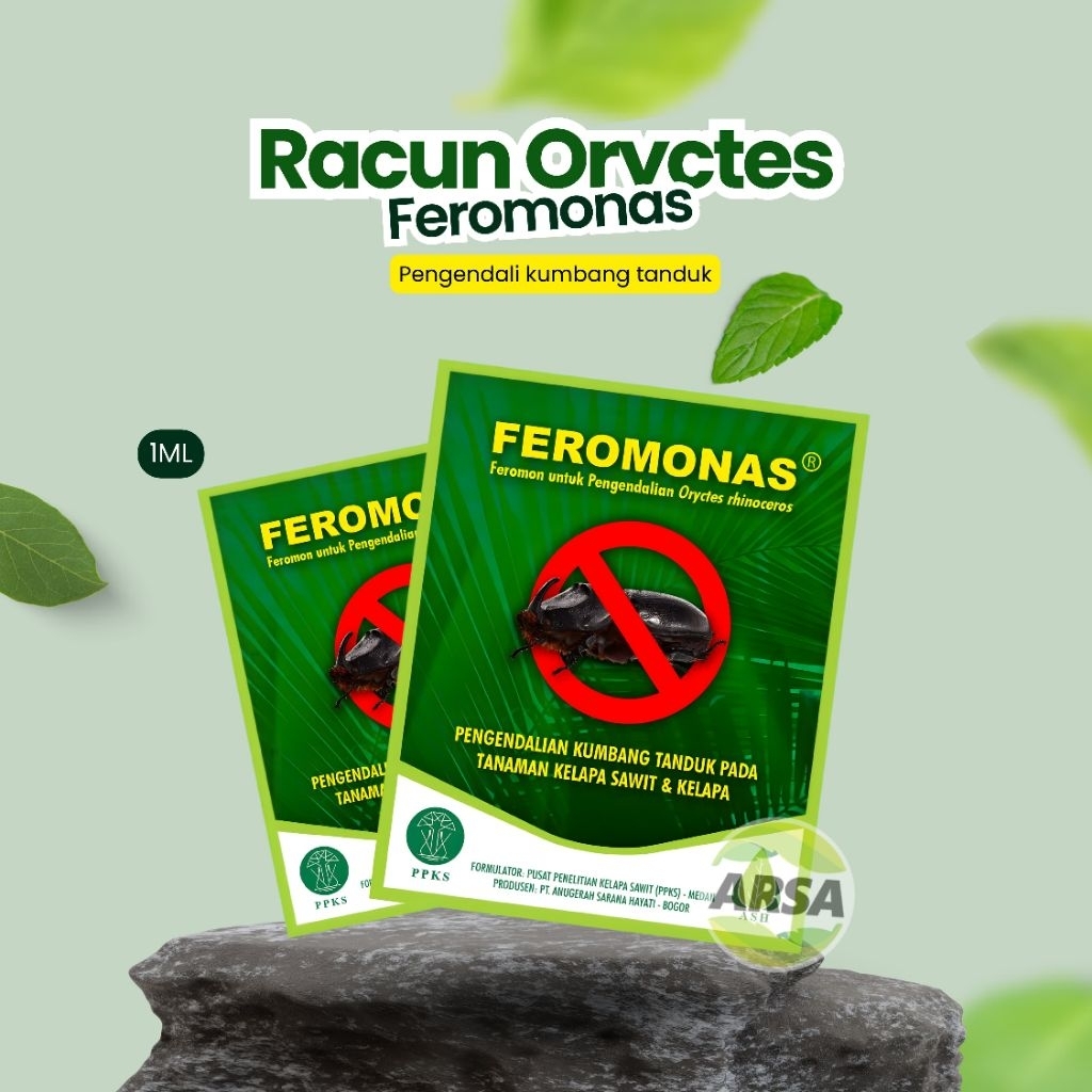 Feromonas Pengendali Hama Kumbang tanduk pada Kelapa Sawit