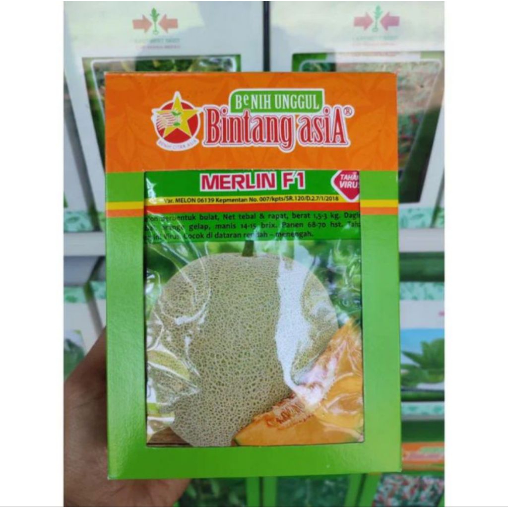BENIH MELON MERLIN F1 20 GRAM