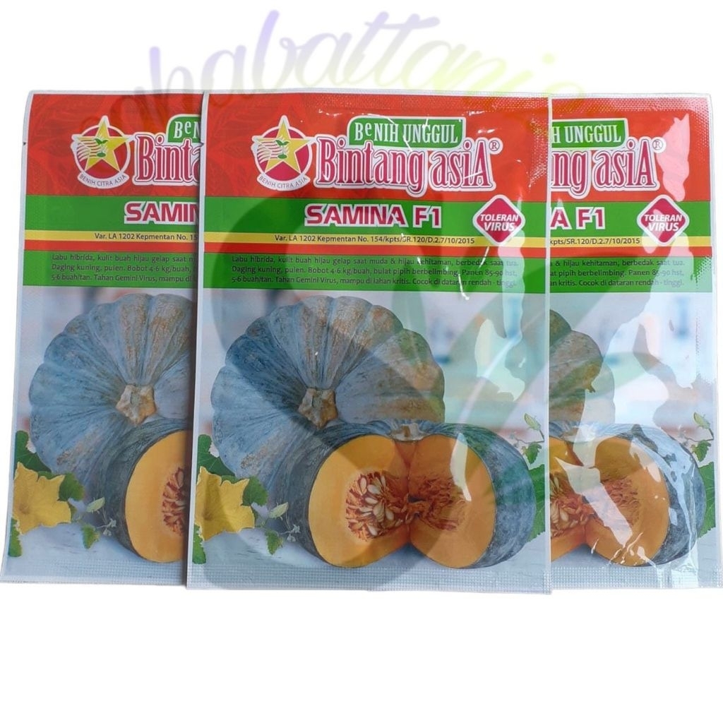 Benih Labu/Waluh SAMINA F1 berat 10 gram Labu Kuning Super Jumbo (Bintang Asia)