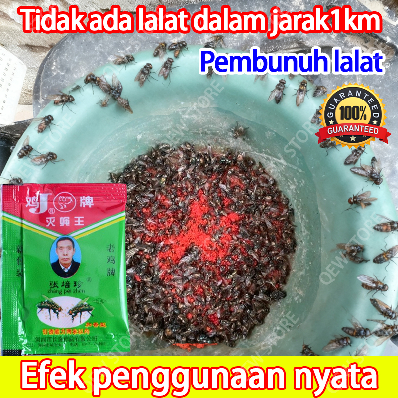 Racun Lalat Paling Ampuh Pembasmi Lalat Ampuh Super Racun Lalat Zhang Pei Zhen Insektisida Lalat Bua