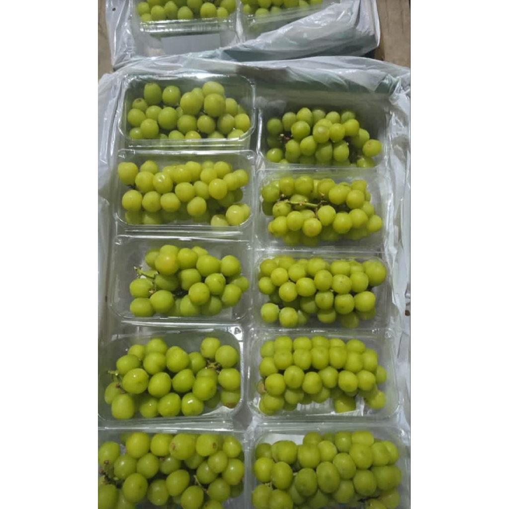 Anggur shine muscat 500gram