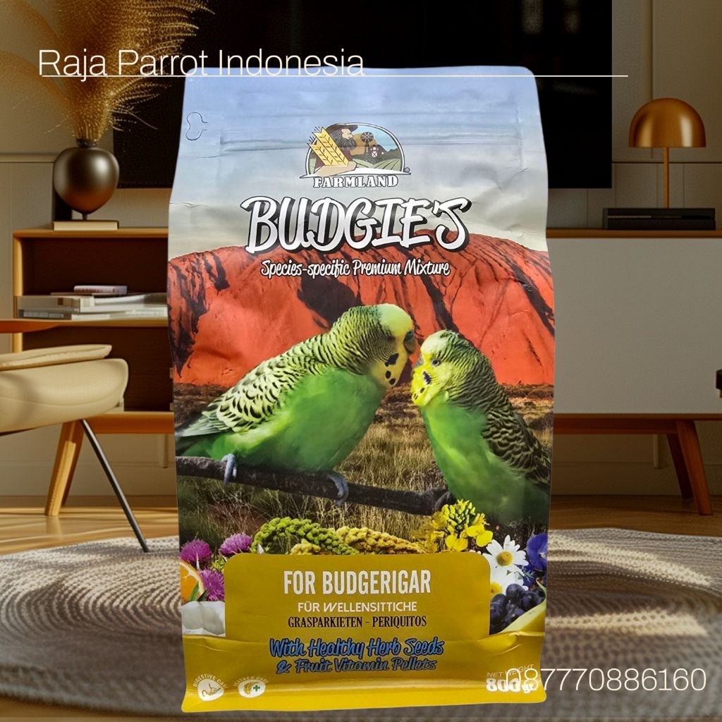 FARMLAND BUDGIES / MAKANAN BURUNG PARKIT , EXHIBITION BUDGIES , PARKIT HOLLAND , PARKIT JEPANG DLL
