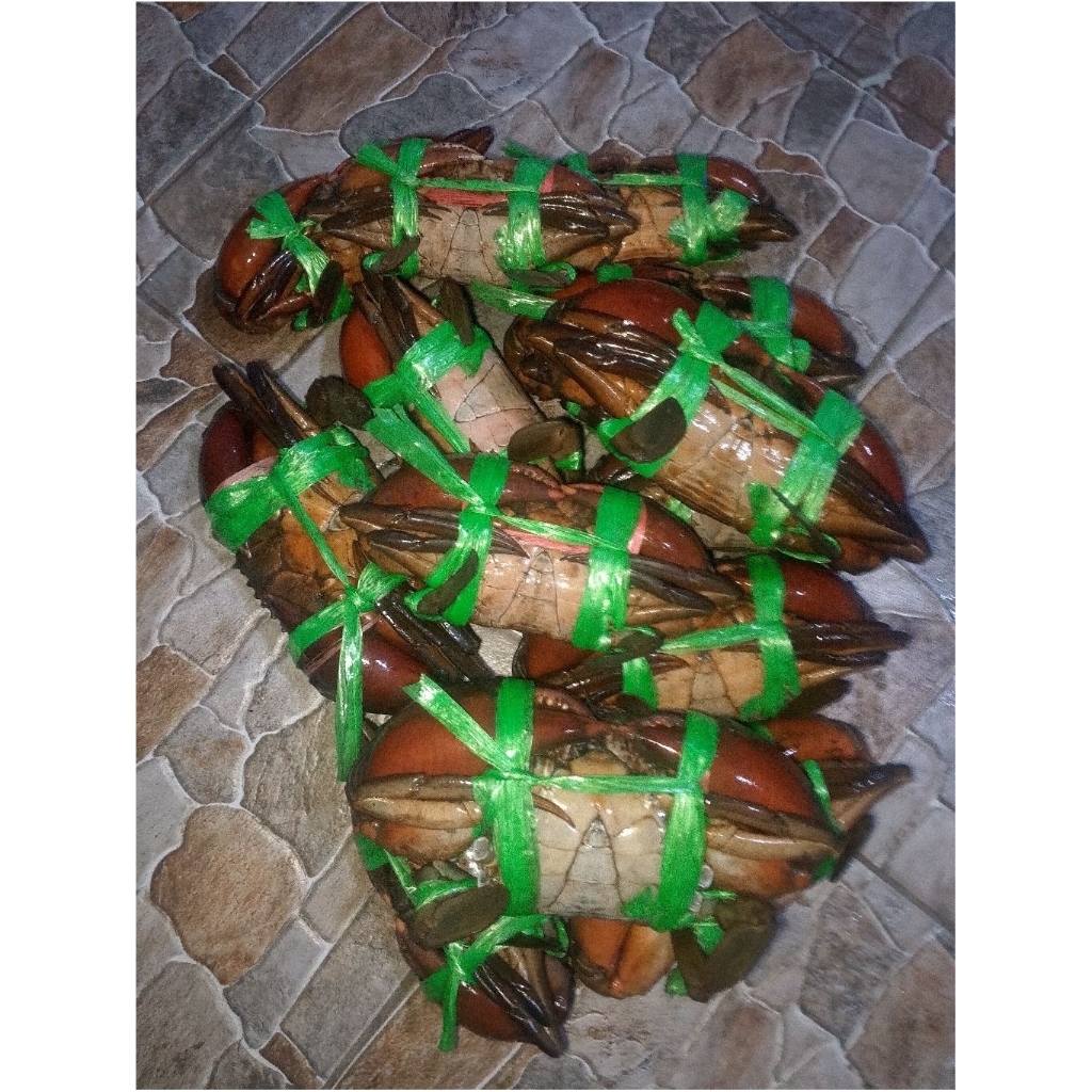 Kepiting bakau frozen fresh 1kg (Mati Segar)