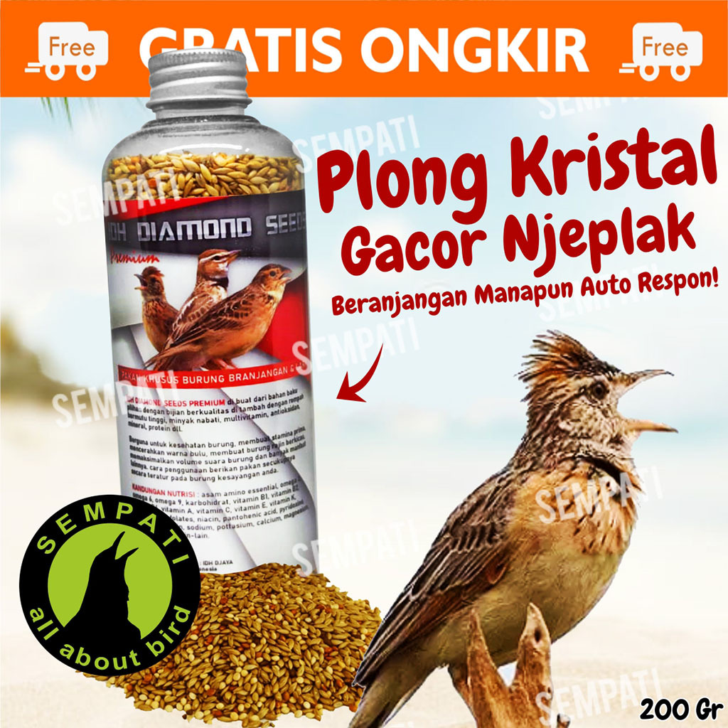 SEMPATI Pakan Branjangan Lark Premium IDH Diamond Seeds Pakan Khusus Burung Branjangan Voer Pur Buru