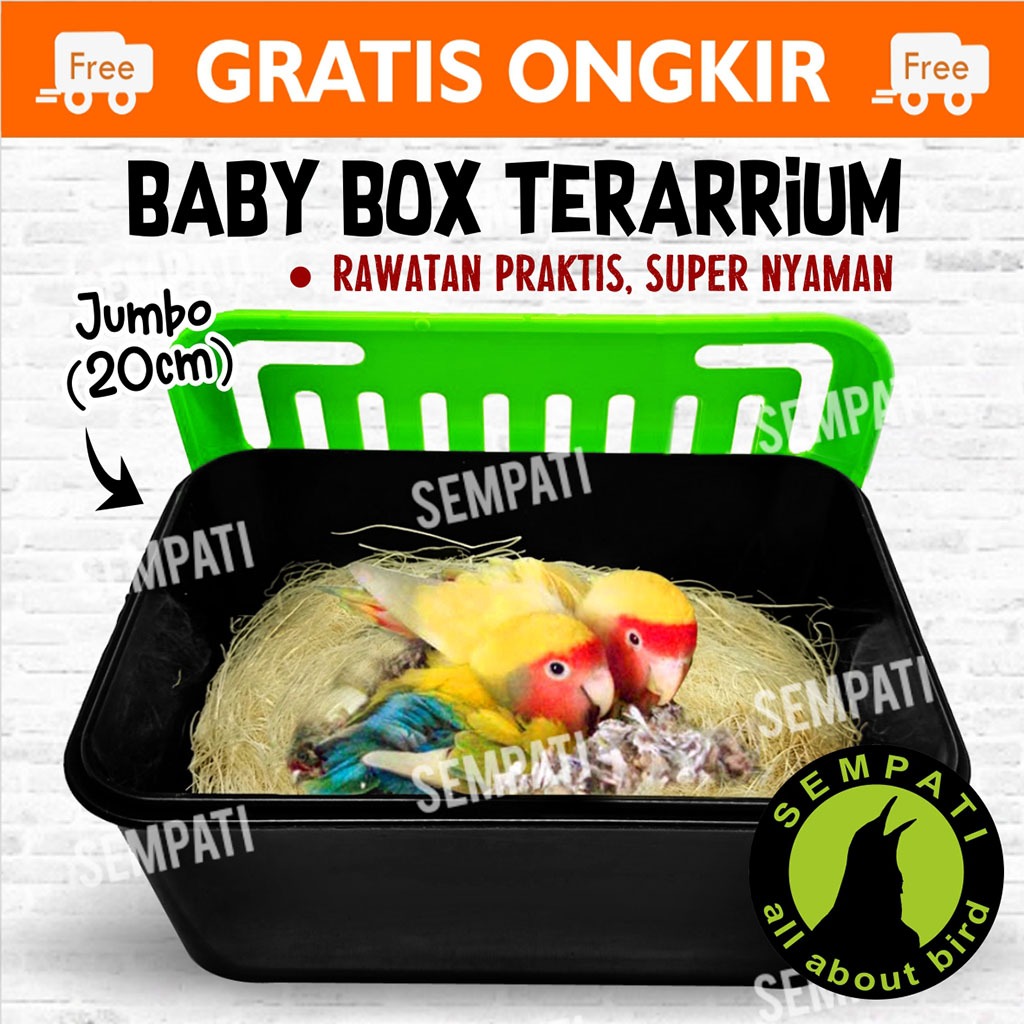 SEMPATI BABY BOX WADAH UNTUK ANAKAN BURUNG LOVEBIRD MURAI KENARI KACER DLL MEREK ELITE SONG