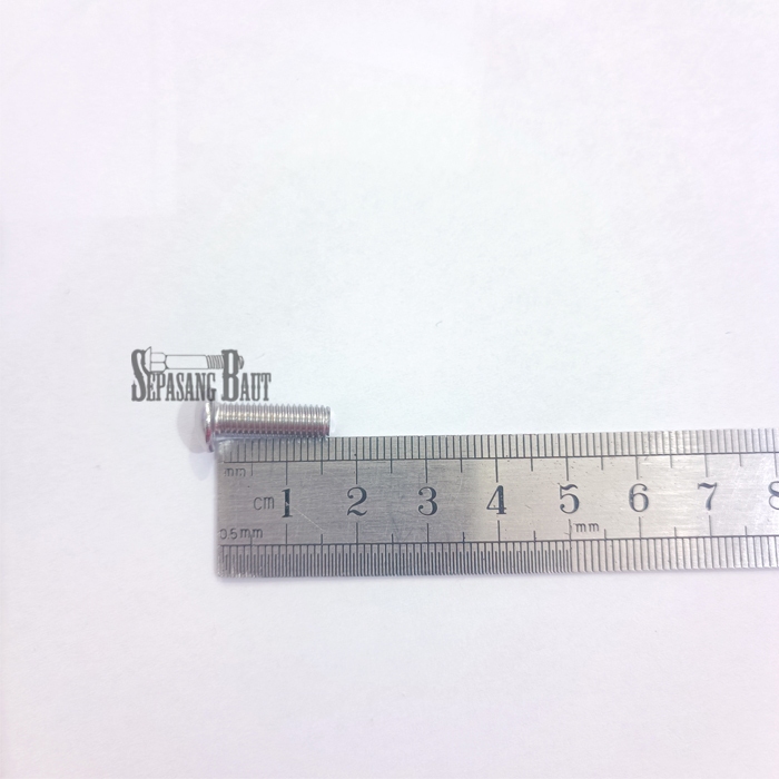 M5 x 15 Baut Button L Stainless 304 M5x15